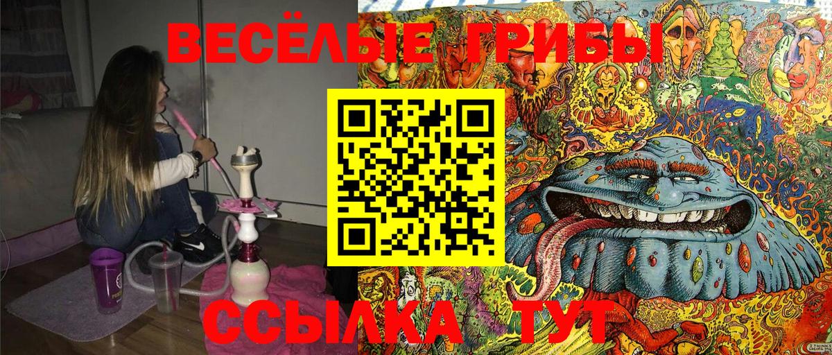 Воронеж  Псилоцибиновые грибы Magic Shrooms  где можно купить   Галлюциногенные грибы прущие грибы  Вход с VPN 